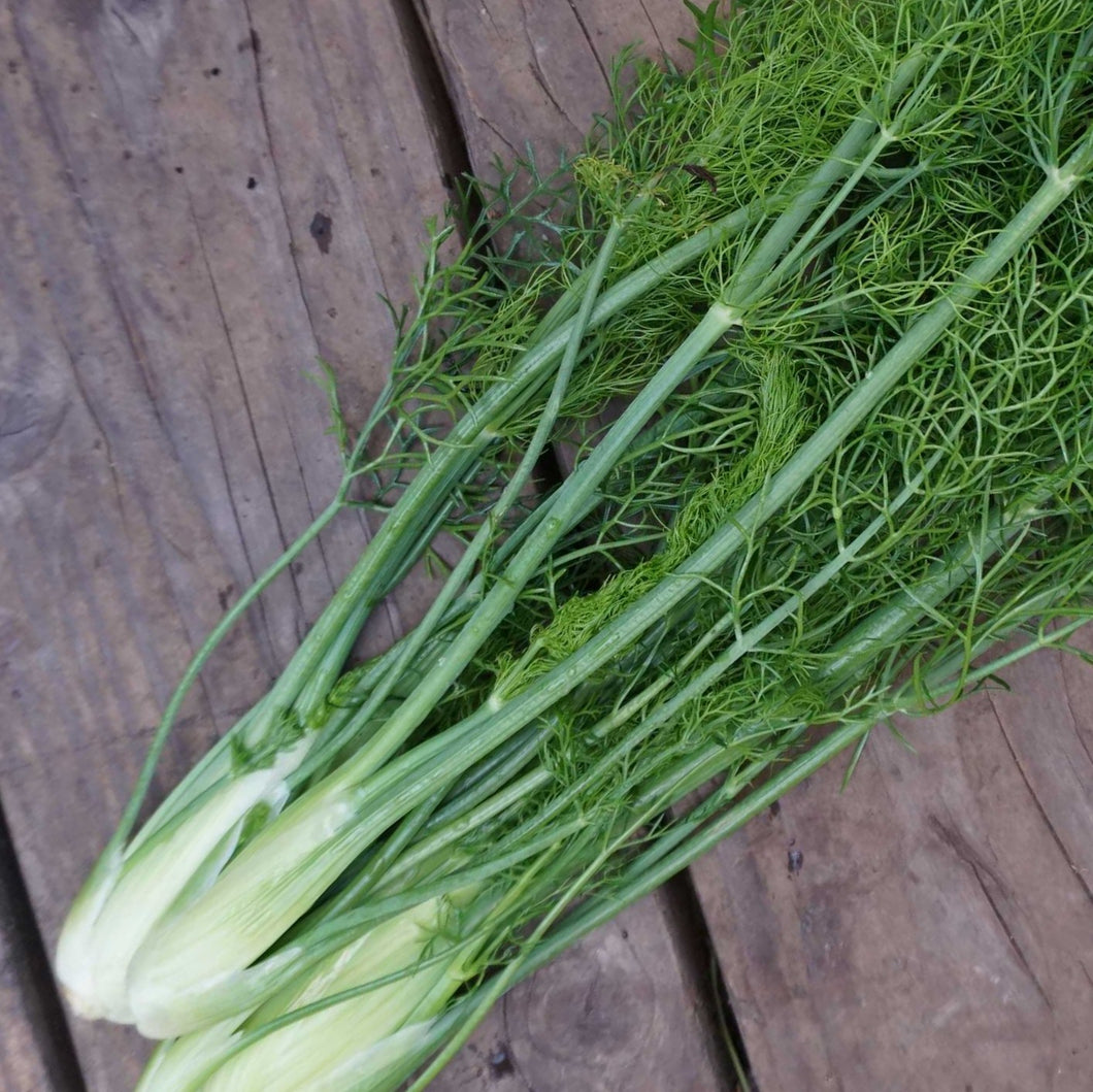 Fennel: Perfection