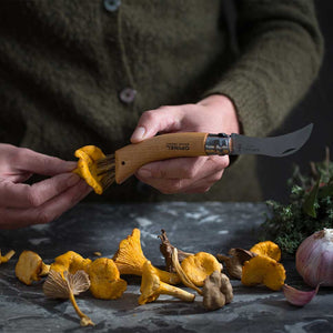 Mushroom Harvesting Knife